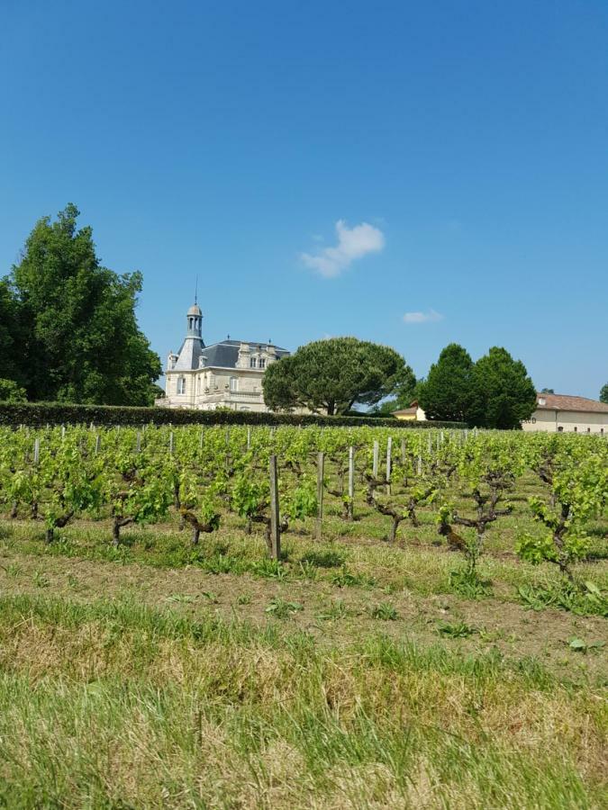 Chambre Independante "Terre Rouge" Martignas-sur-Jalle Eksteriør bilde